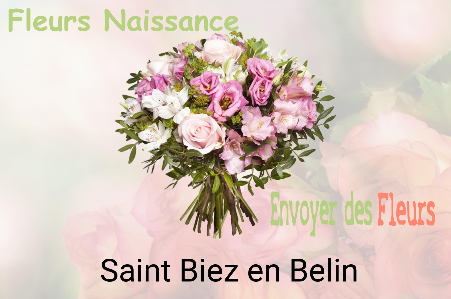 Bouquet de fleurs de naissance livré à Saint-Biez-en-Belin